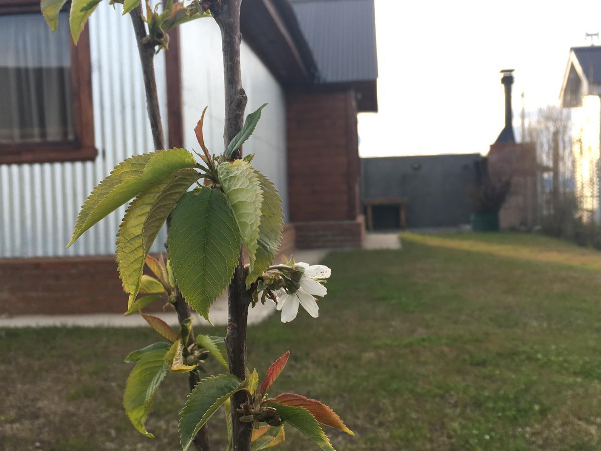 Casa Patagonica Los Frutales 埃尔卡拉法特 外观 照片